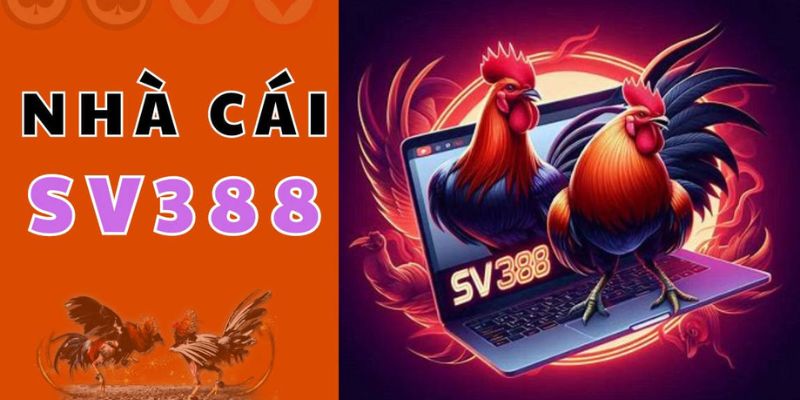 Giới thiệu cơ bản về nhà cái Sv388