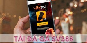 Hướng Dẫn Tải App Sv388 Nhanh Chóng Nhất Cho Tân Thủ