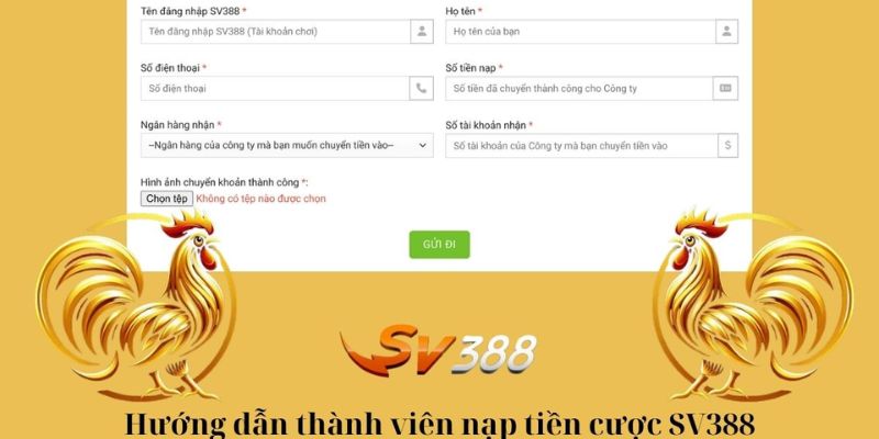 Chi tiết quy trình nạp tiền chuẩn xác