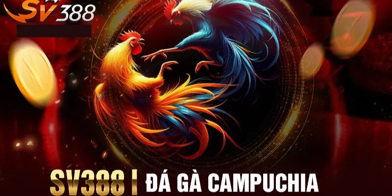 3 Cửa cược phổ biến với đá gà trực tuyến