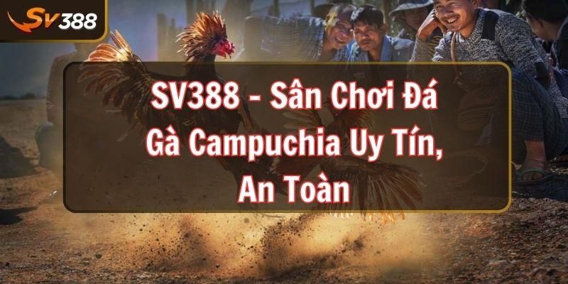 Lý do nên chơi đá gà Campuchia tại Sv388