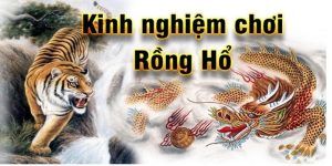 Tổng Hợp Các Mẹo Chơi Rồng Hổ Hay Và Cần Thiết Cho Người Mới