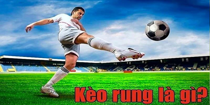 Kinh nghiệm chơi kèo rung cho người mới bắt đầu